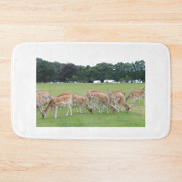 Item preview, Wollaton Hall- O, Deer designed and sold by Thomas Halouva.