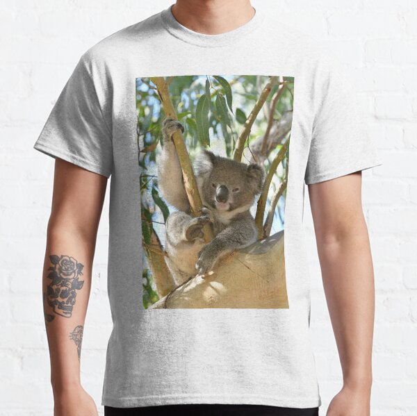 Koala relaxing in a gum tree Classic T-Shirt