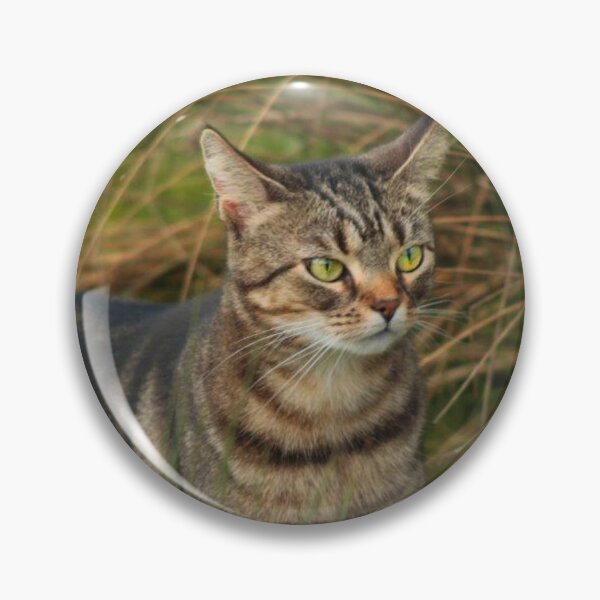Item preview, tabby amongst grass designed and sold by Francespoppy.
