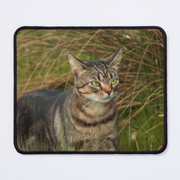 Item preview, tabby amongst grass designed and sold by Francespoppy.