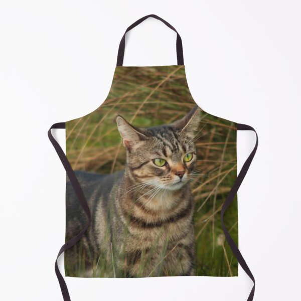 Item preview, tabby amongst grass designed and sold by Francespoppy.