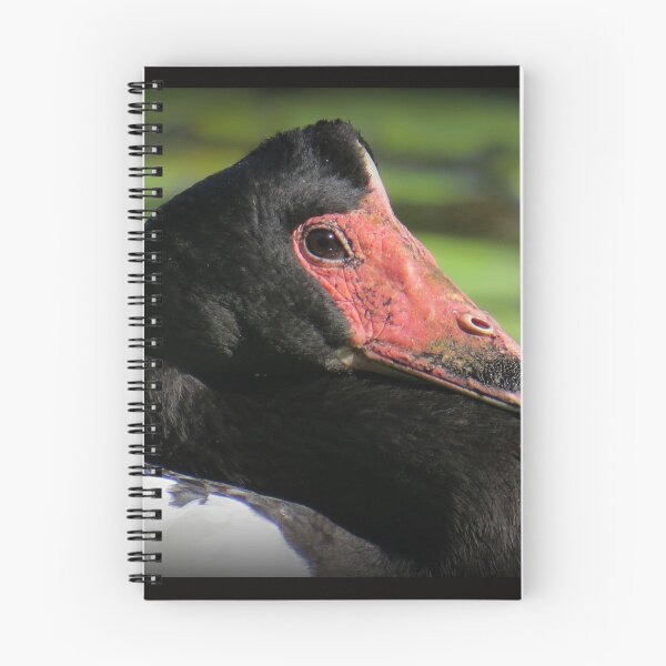 Item preview, Magpie Goose Looking At You designed and sold by Genevieve Hanlon Art and Photography.