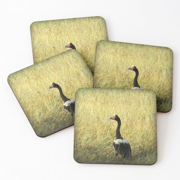 Item preview, Magpie Goose In The Grass designed and sold by Genevieve Hanlon Art and Photography.