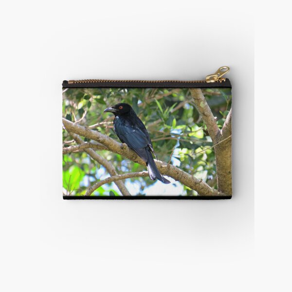 Item preview, Spangled Drongo designed and sold by Genevieve Hanlon Art and Photography.