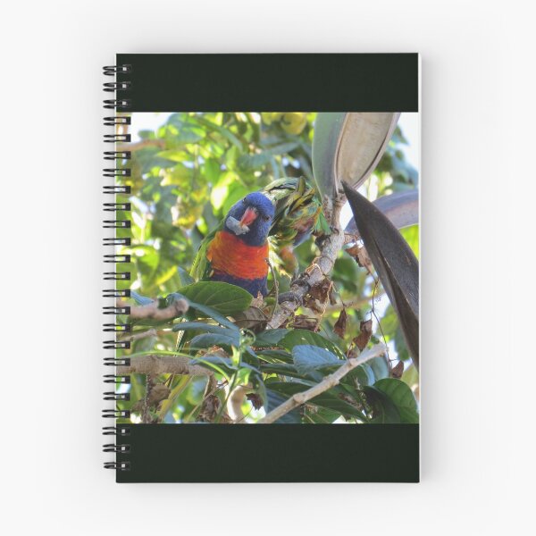 Item preview, Rainbow Lorikeet designed and sold by Genevieve Hanlon Art and Photography.