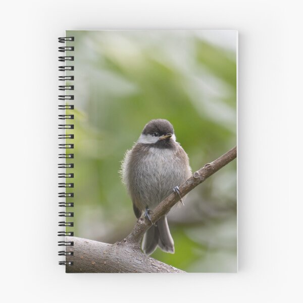 Item preview, Chickadee designed and sold by Laurel Eby.