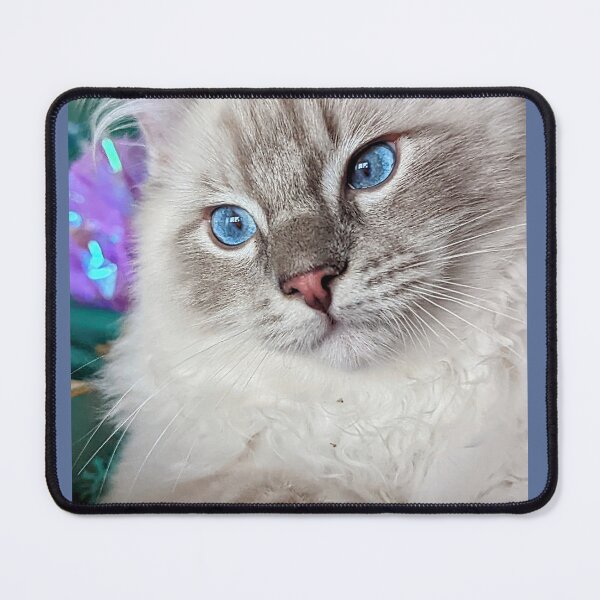 Item preview, Lynx ragdoll kitten designed and sold by Fluffycat2020.