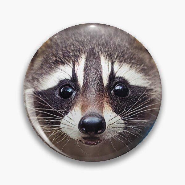 Item preview, Baby Raccoon - Rainbow Critters Collection designed and sold by RealityJockey.