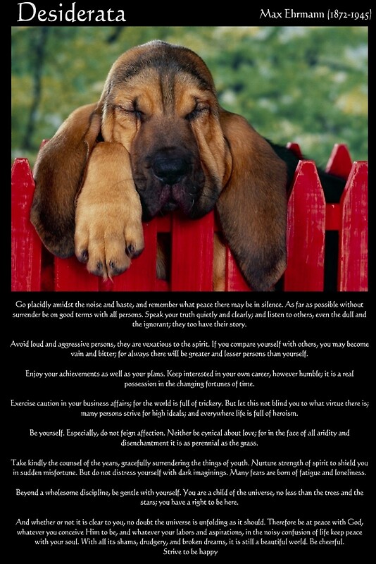 desiderata universe and good terms desiderata universe and good terms