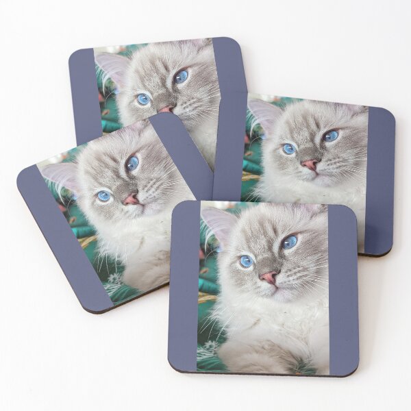 Item preview, Copy of Lynx ragdoll kitten designed and sold by Fluffycat2020.