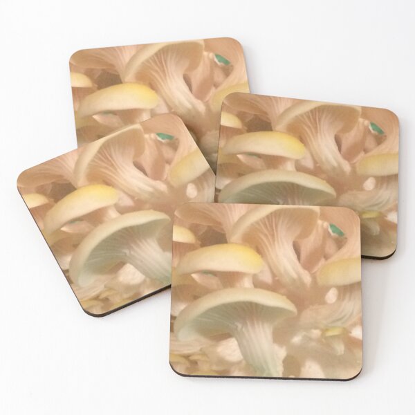 Item preview, Golden Oyster Mushrooms (Underside) designed and sold by CJRPics.