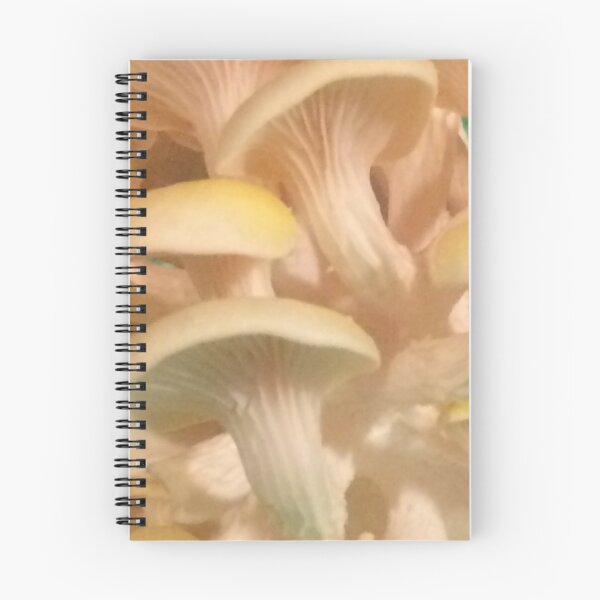 Item preview, Golden Oyster Mushrooms (Underside) designed and sold by CJRPics.