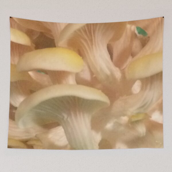 Item preview, Golden Oyster Mushrooms (Underside) designed and sold by CJRPics.