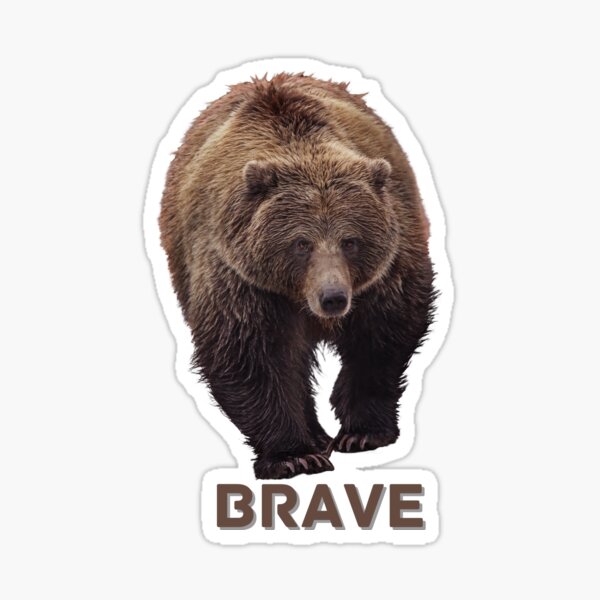 Brave as a Bear Sticker