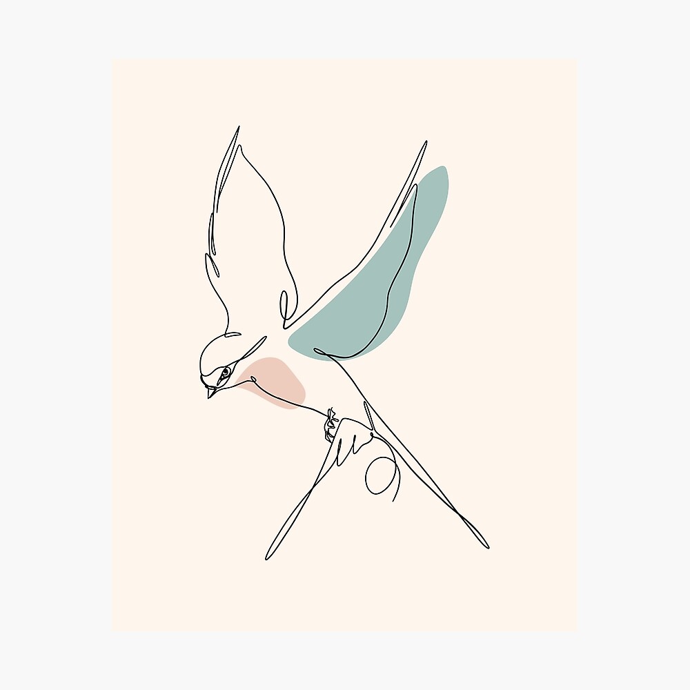 The beautiful hand drawn flying bird. Graphic... - Stock Illustration  [91318970] - PIXTA
