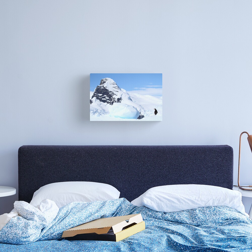 The World At My Feet Canvas Print