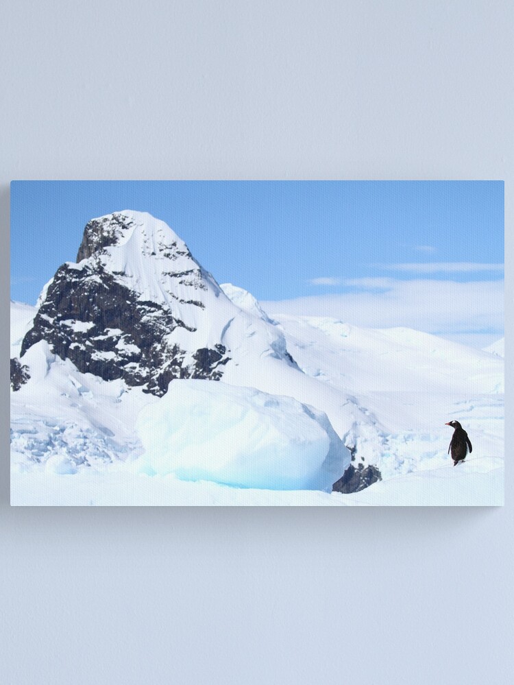 Alternate view of The World At My Feet Canvas Print