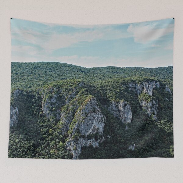 Aperçu de l'œuvre Montagne Pierre Woodland Forêt Paysage créée et vendue par worldways.