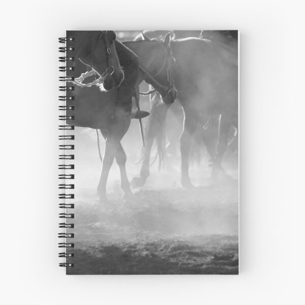 Item preview, Horses, dust and sunlight designed and sold by Penny Kittel.
