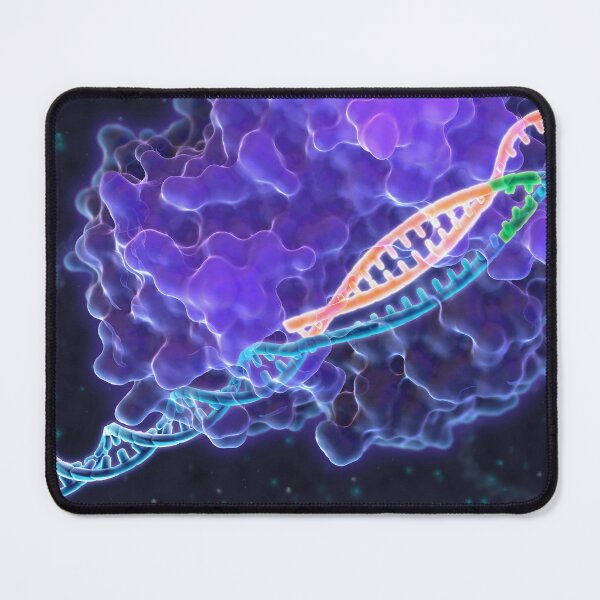 Item preview, CRISPR Genome Editing designed and sold by ScienceSource.