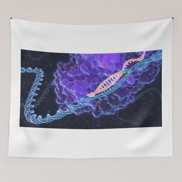 Item preview, CRISPR Genome Editing designed and sold by ScienceSource.