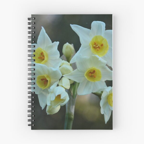 Item preview, Floral Sunshine designed and sold by beeden.