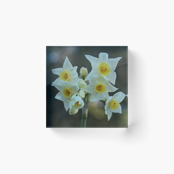 Item preview, Floral Sunshine designed and sold by beeden.