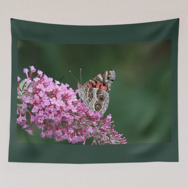 Item preview, American Painted Lady on a Butterfly Bush designed and sold by LisaNaturePhoto.