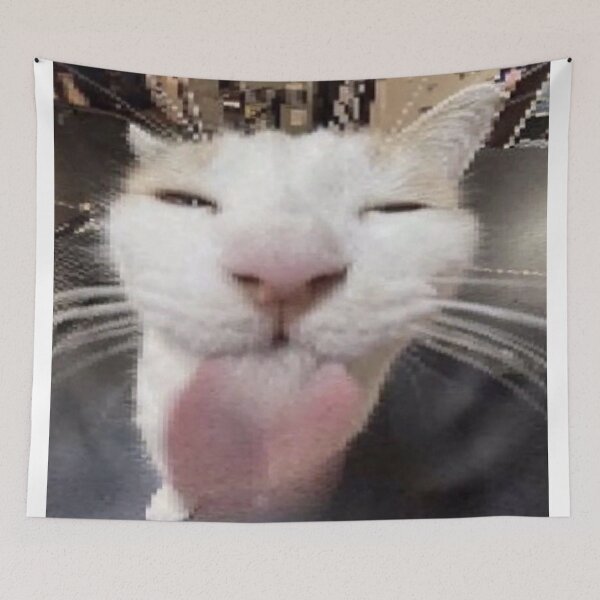 Aperçu de l'œuvre chat amusant créée et vendue par Spedbop2k.
