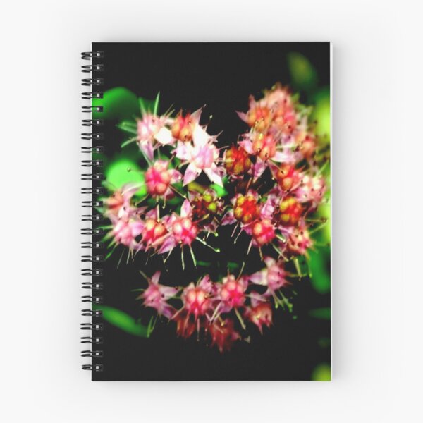 Item preview, Cacti (Cactaceae)  designed and sold by cjcphotography.