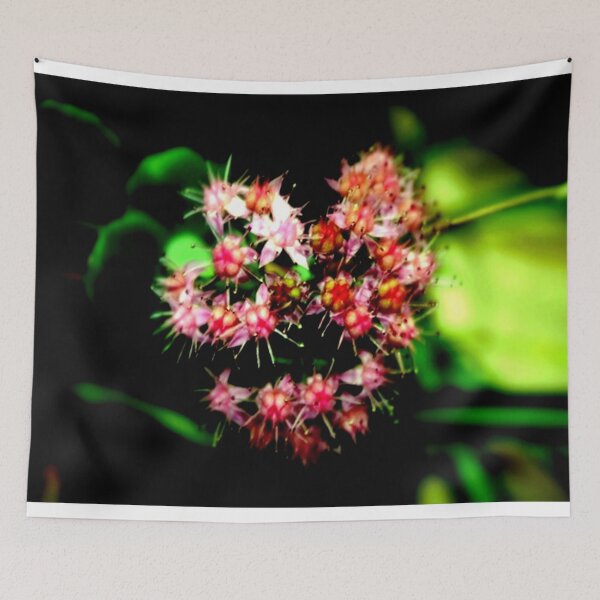 Item preview, Cacti (Cactaceae)  designed and sold by cjcphotography.