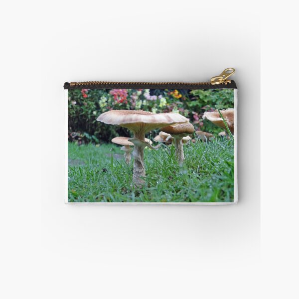 Item preview, Autumn Mushrooms designed and sold by Barrie Woodward.