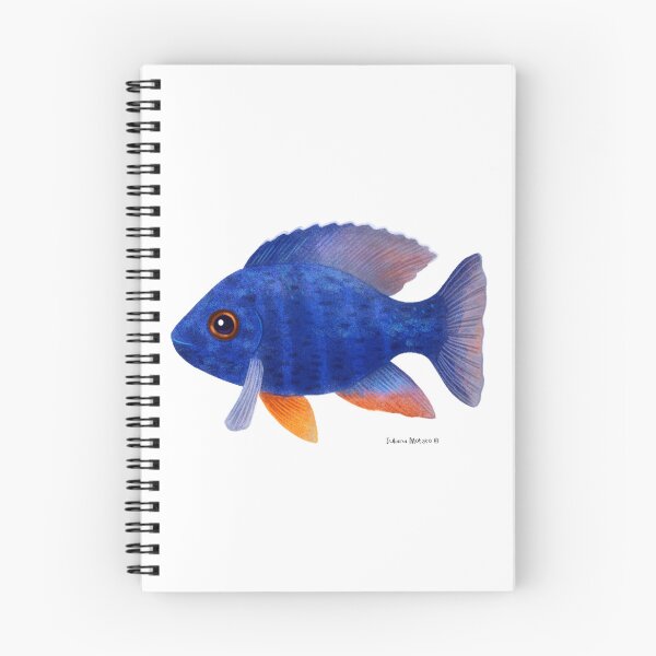 Item preview, African Cichlid Fish designed and sold by julianamotzko.