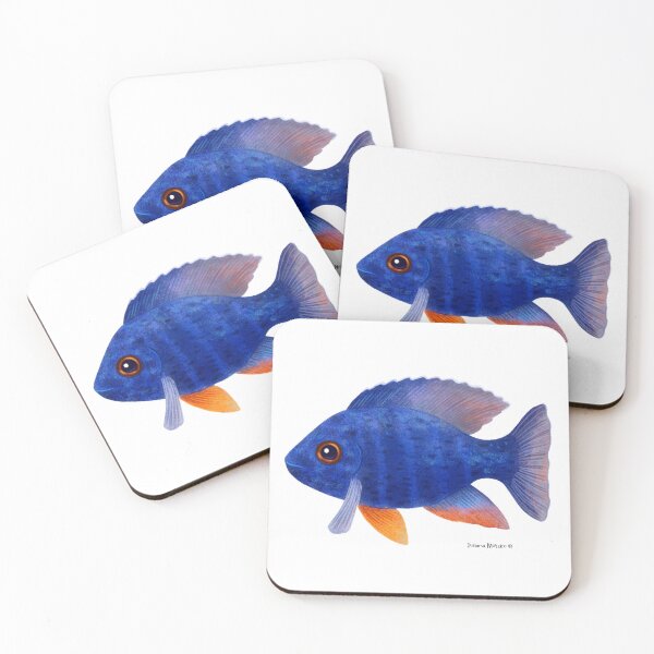 Item preview, African Cichlid Fish designed and sold by julianamotzko.