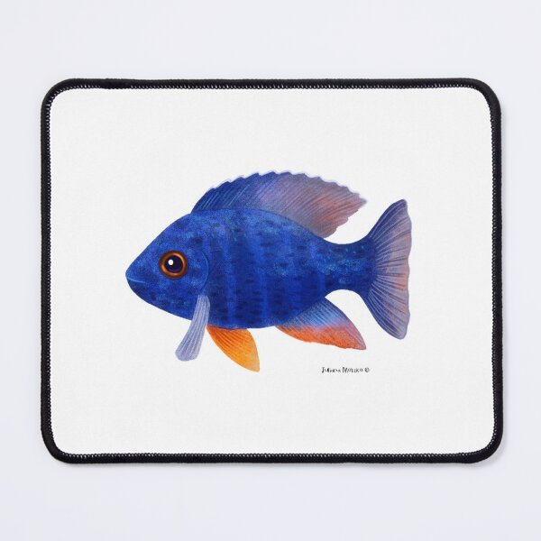 Item preview, African Cichlid Fish designed and sold by julianamotzko.