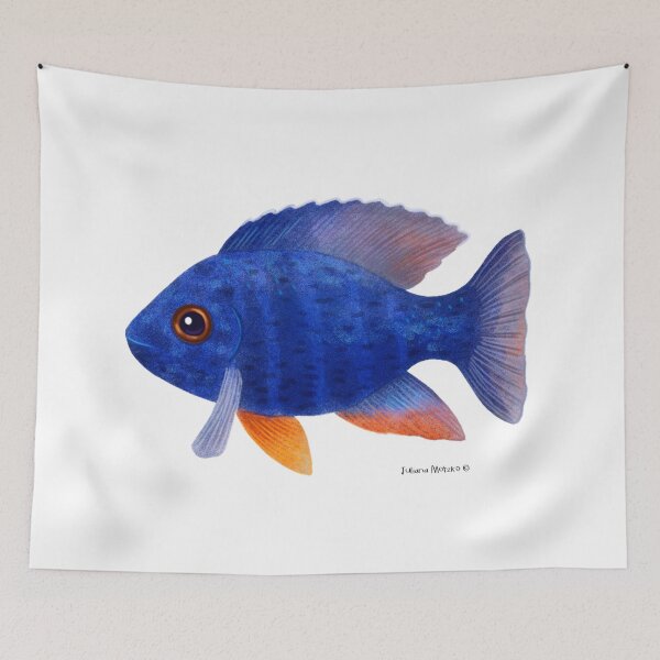 Item preview, African Cichlid Fish designed and sold by julianamotzko.