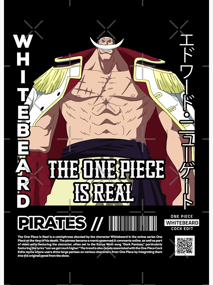 THE ONE PIECE IS REAL's Code & Price - RblxTrade