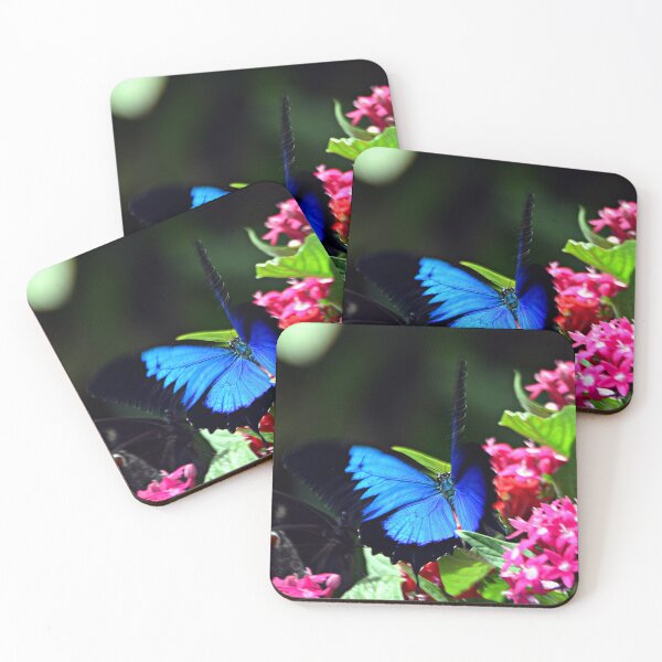 Item preview, Ulysses butterfly designed and sold by andreisky.