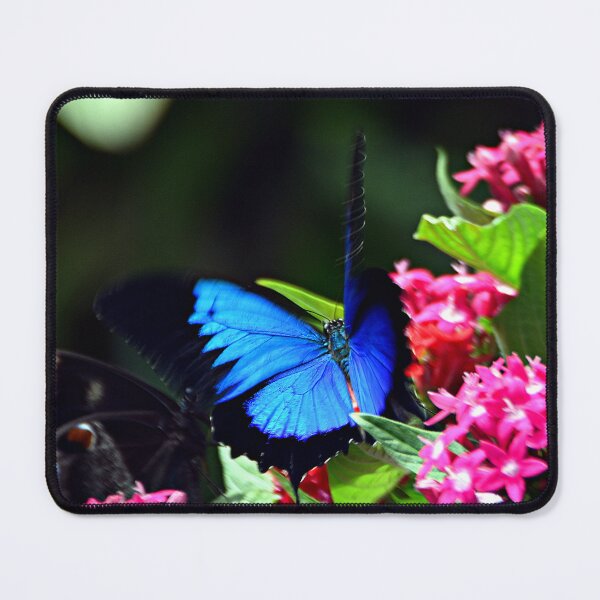 Item preview, Ulysses butterfly designed and sold by andreisky.