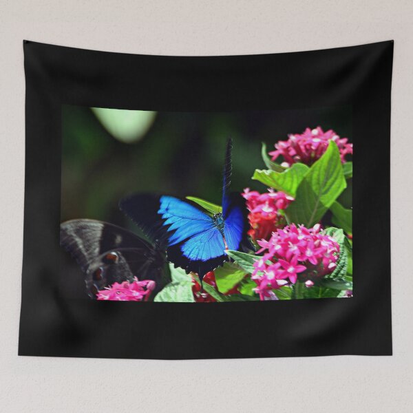 Item preview, Ulysses butterfly designed and sold by andreisky.