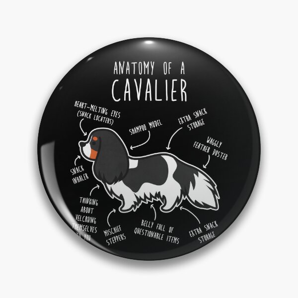Item preview, Tri-Color Cavalier King Charles Spaniel Dog Anatomy designed and sold by Clara Hollins.