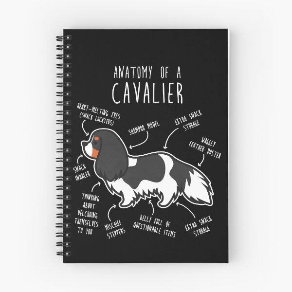 Item preview, Tri-Color Cavalier King Charles Spaniel Dog Anatomy designed and sold by Clara Hollins.