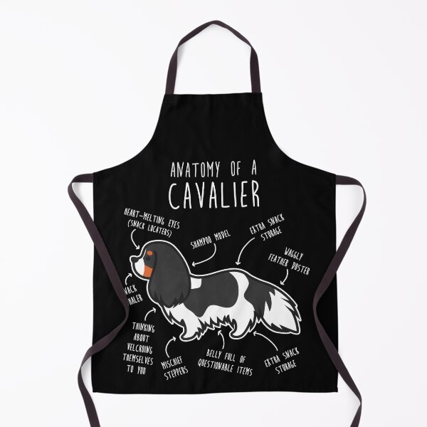 Item preview, Tri-Color Cavalier King Charles Spaniel Dog Anatomy designed and sold by Clara Hollins.