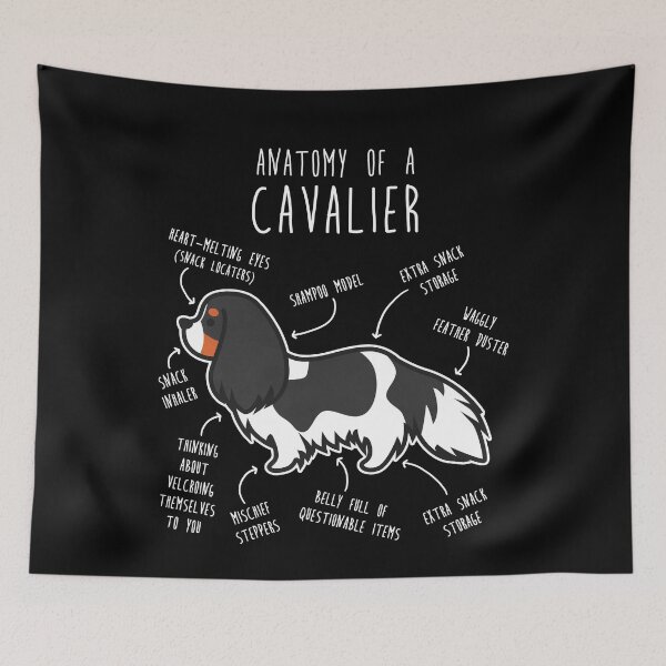 Item preview, Tri-Color Cavalier King Charles Spaniel Dog Anatomy designed and sold by Clara Hollins.