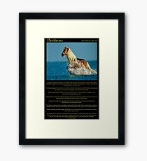 Desiderata with a Horse running thou the water Framed Print