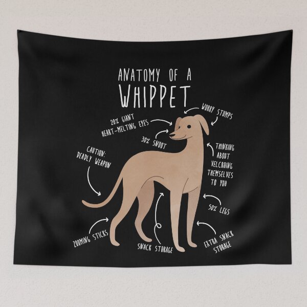 Item preview, Whippet Dog Anatomy designed and sold by Clara Hollins.