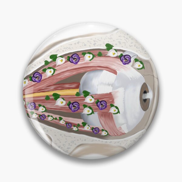 Item preview, Anatomical eye designed and sold by livvysophie.