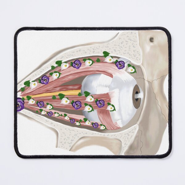 Item preview, Anatomical eye designed and sold by livvysophie.