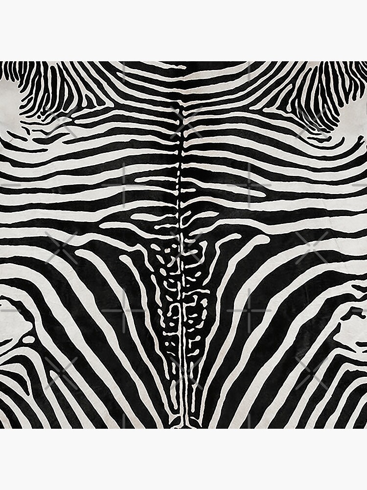 Zebra Print Stripes Skin Hide | Texture by koovox