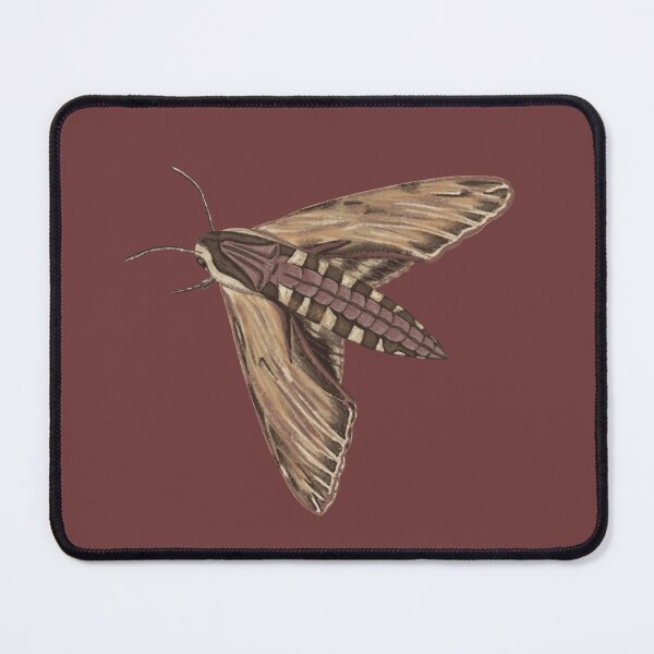 Item preview, Laurel Sphinx Moth designed and sold by Danielle Seay.